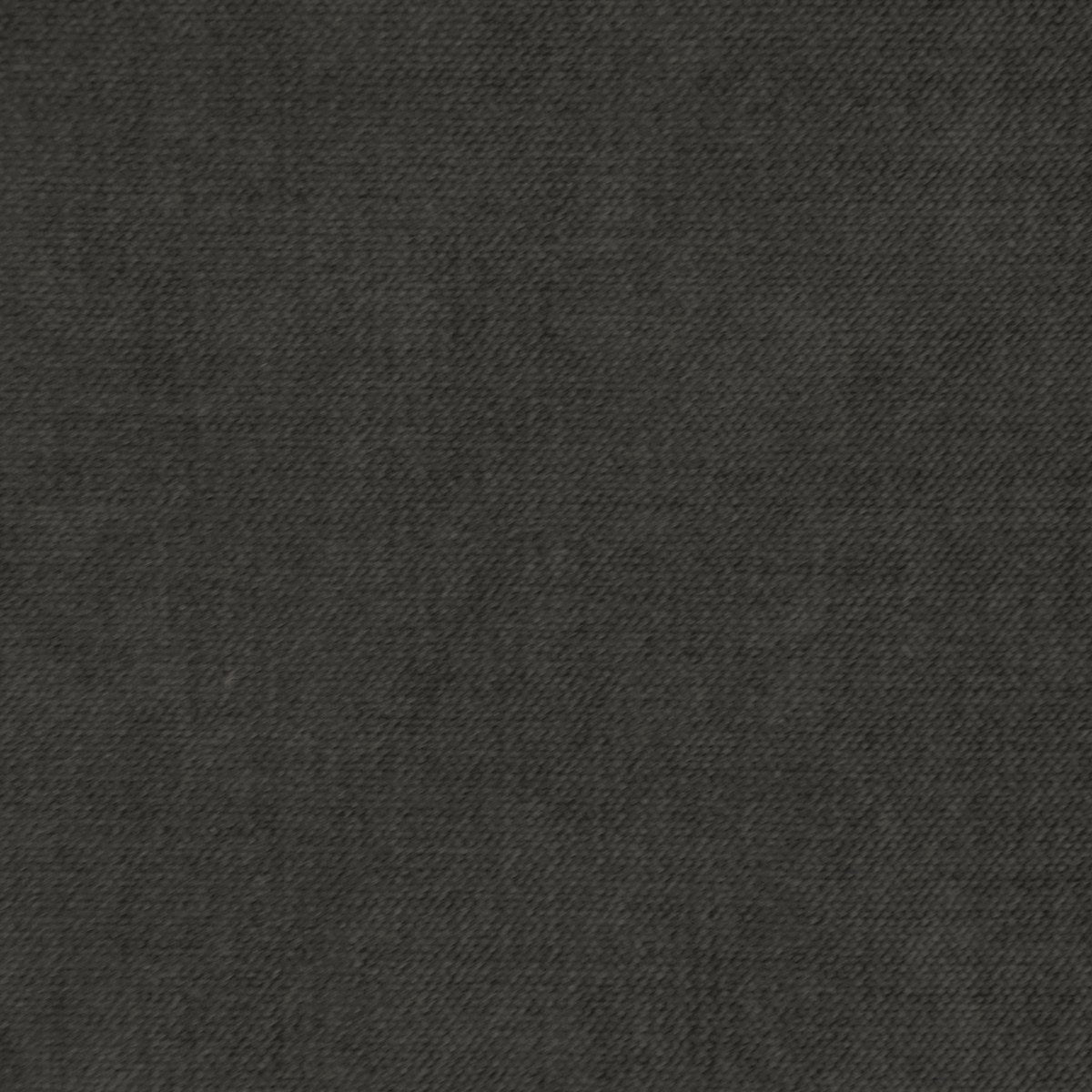 Adelina-UV - Charcoal