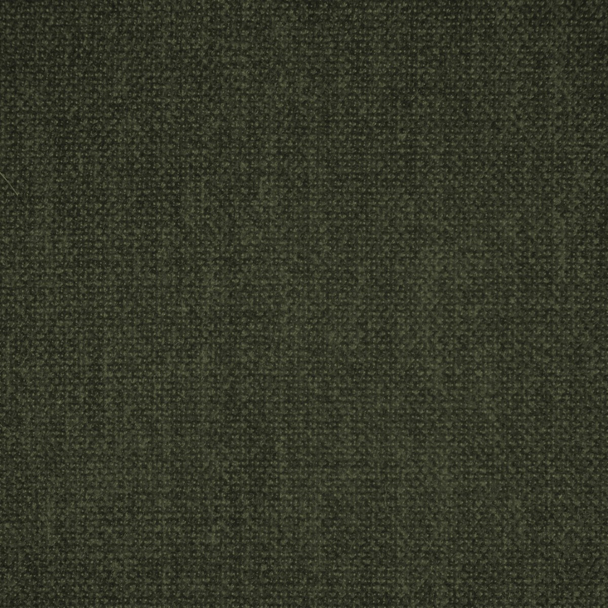Adelina-UV - Olive