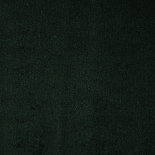 Amina - Forest