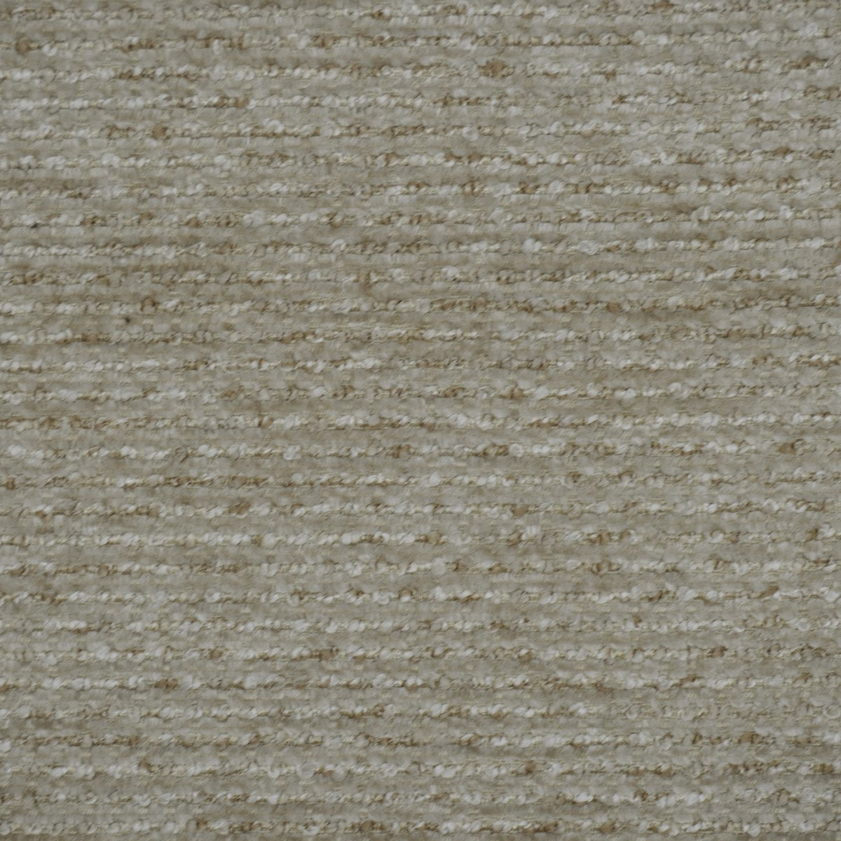 Anaya-UV - Birch