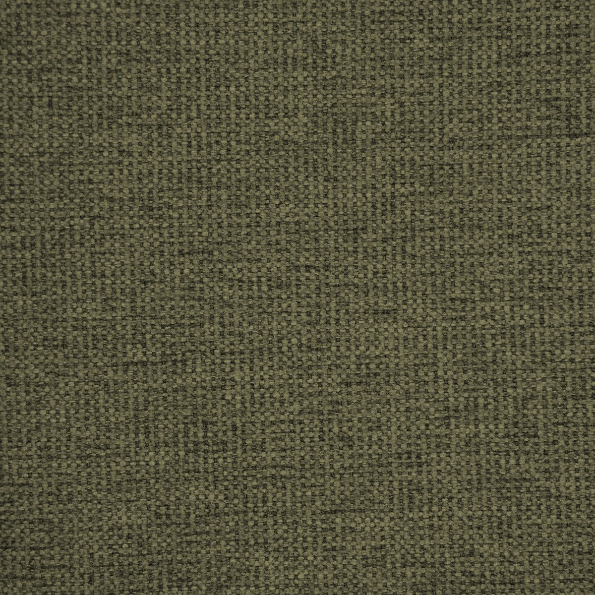 Anders - Olive