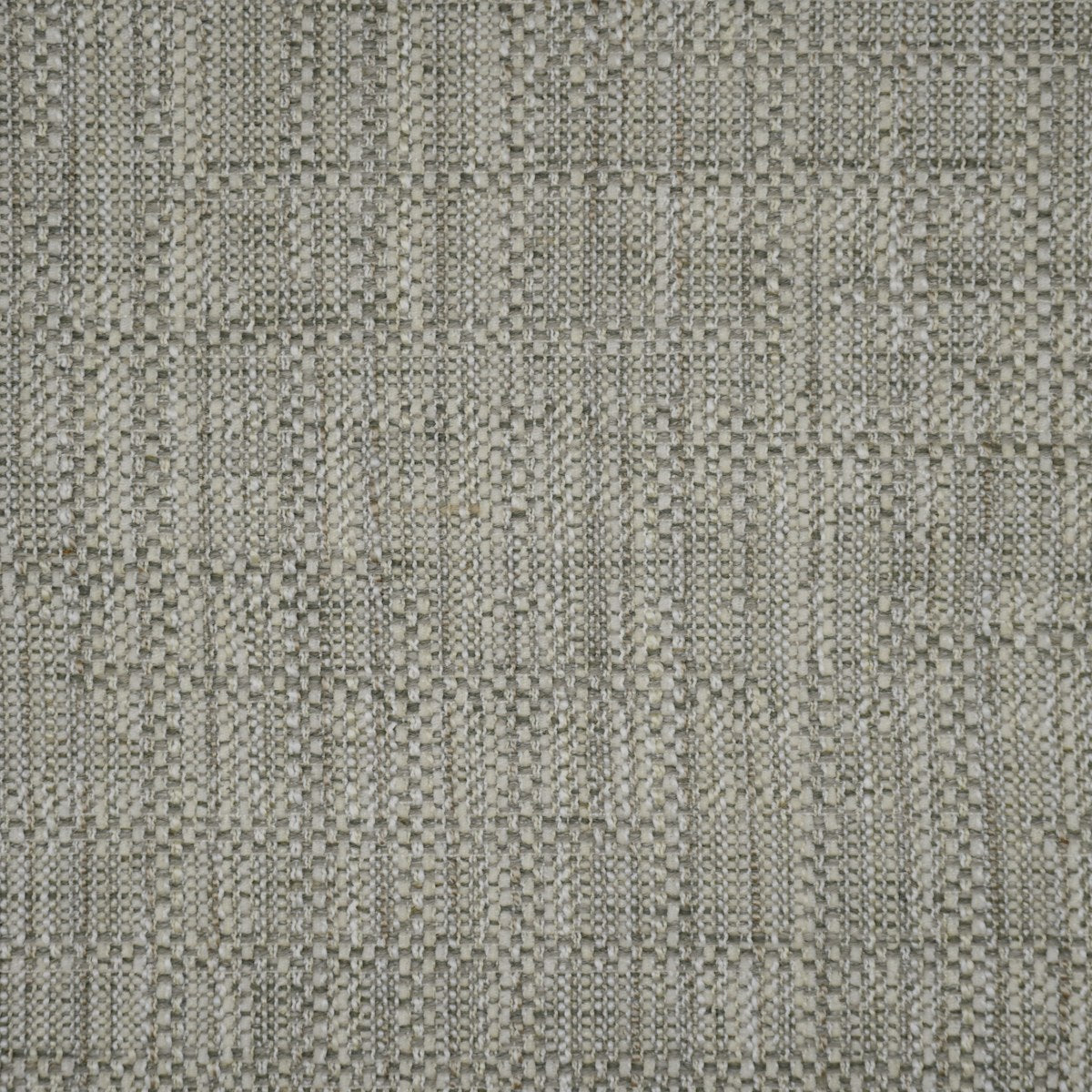 Anise - Birch