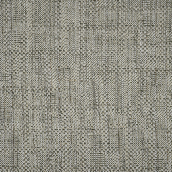 Anise - Birch