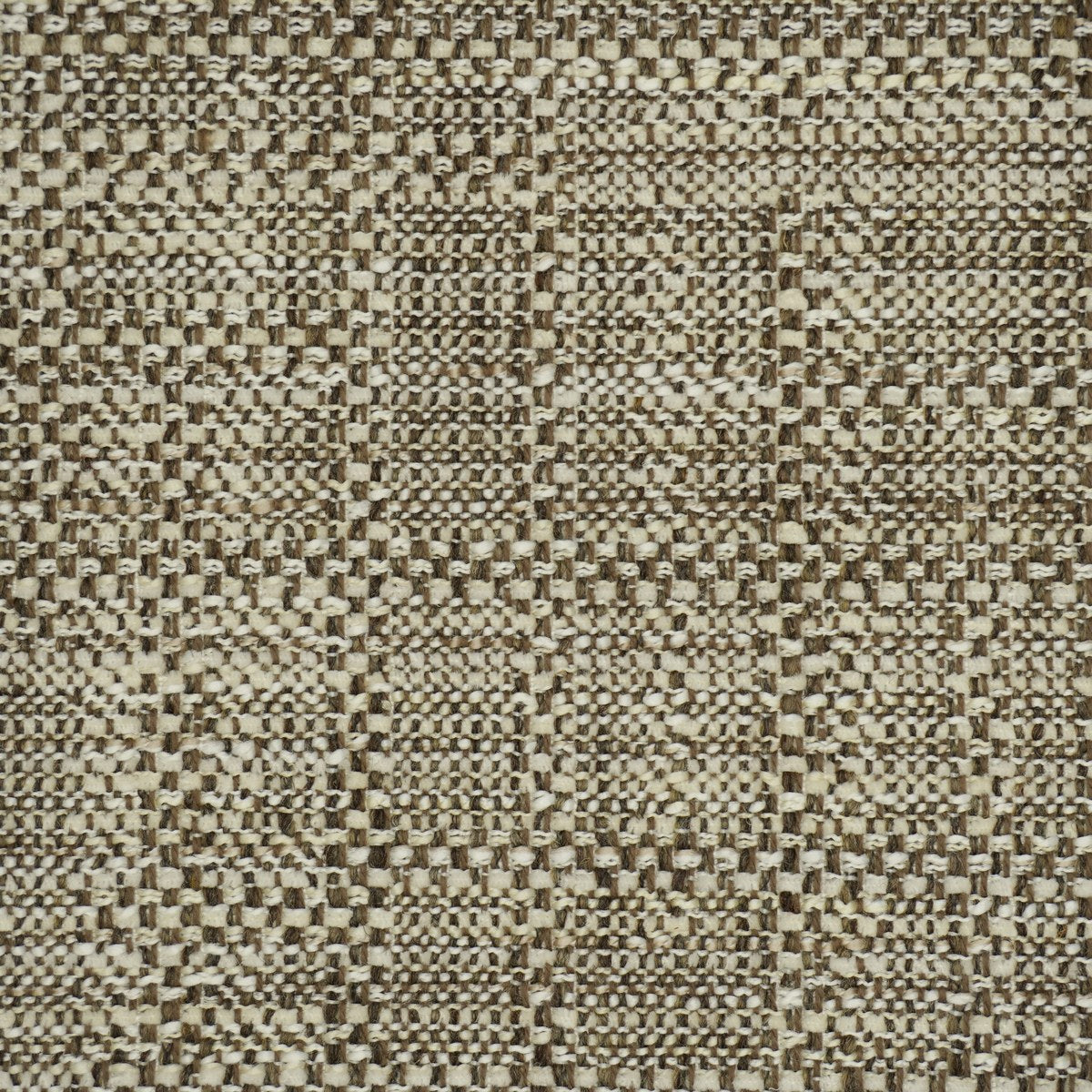 Anise - Chestnut