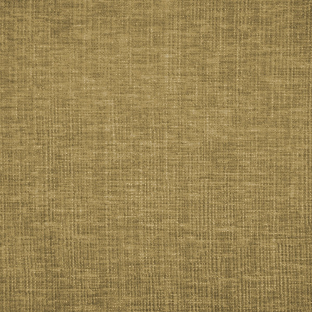 Aries - Latte