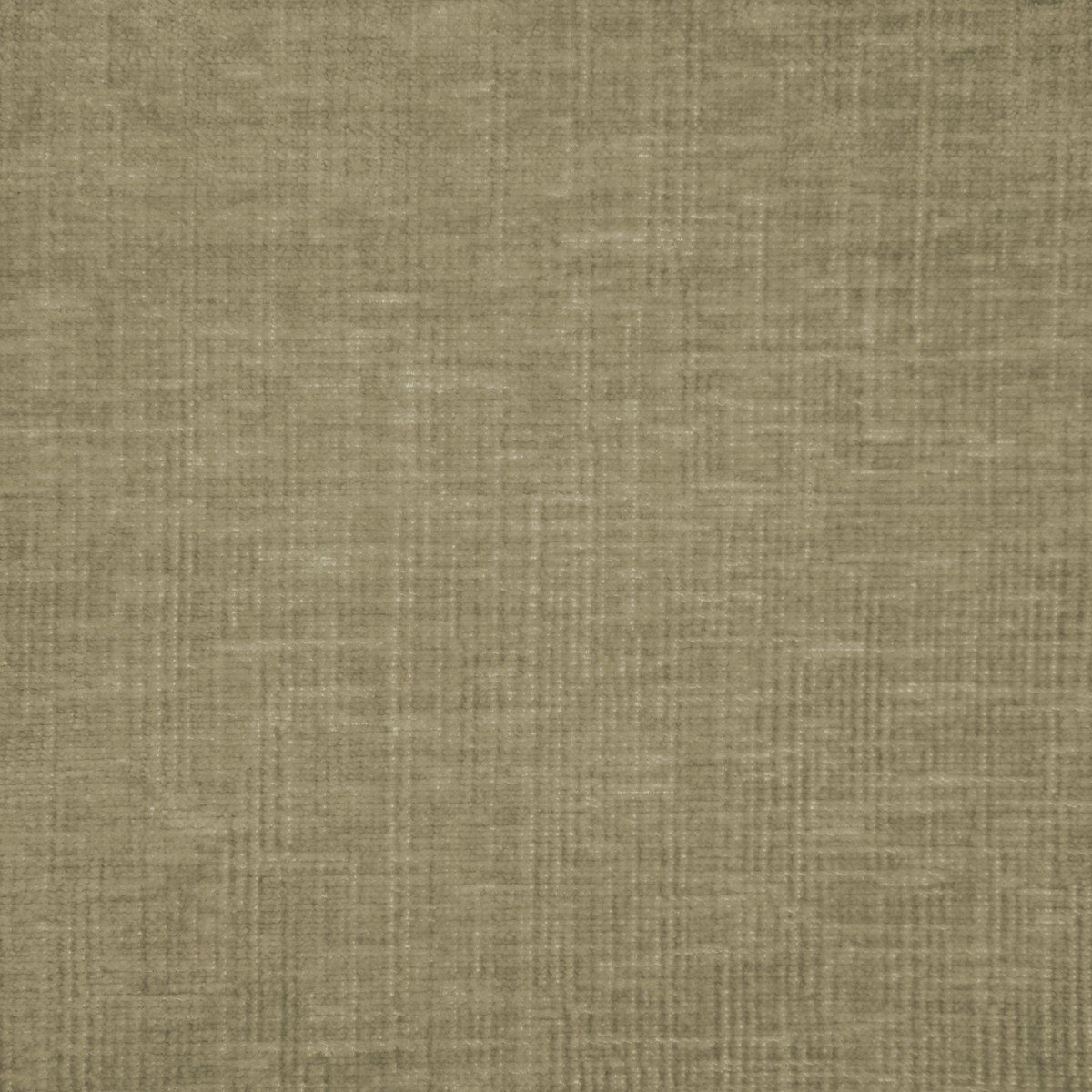 Aries - Sesame