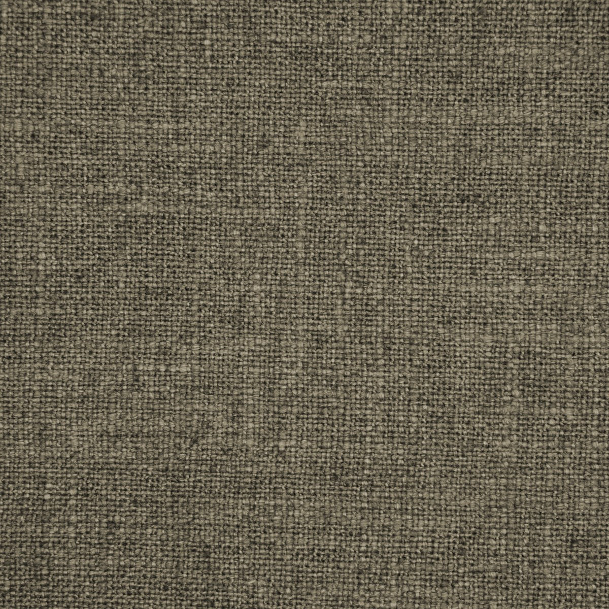 Artisan - Mocha