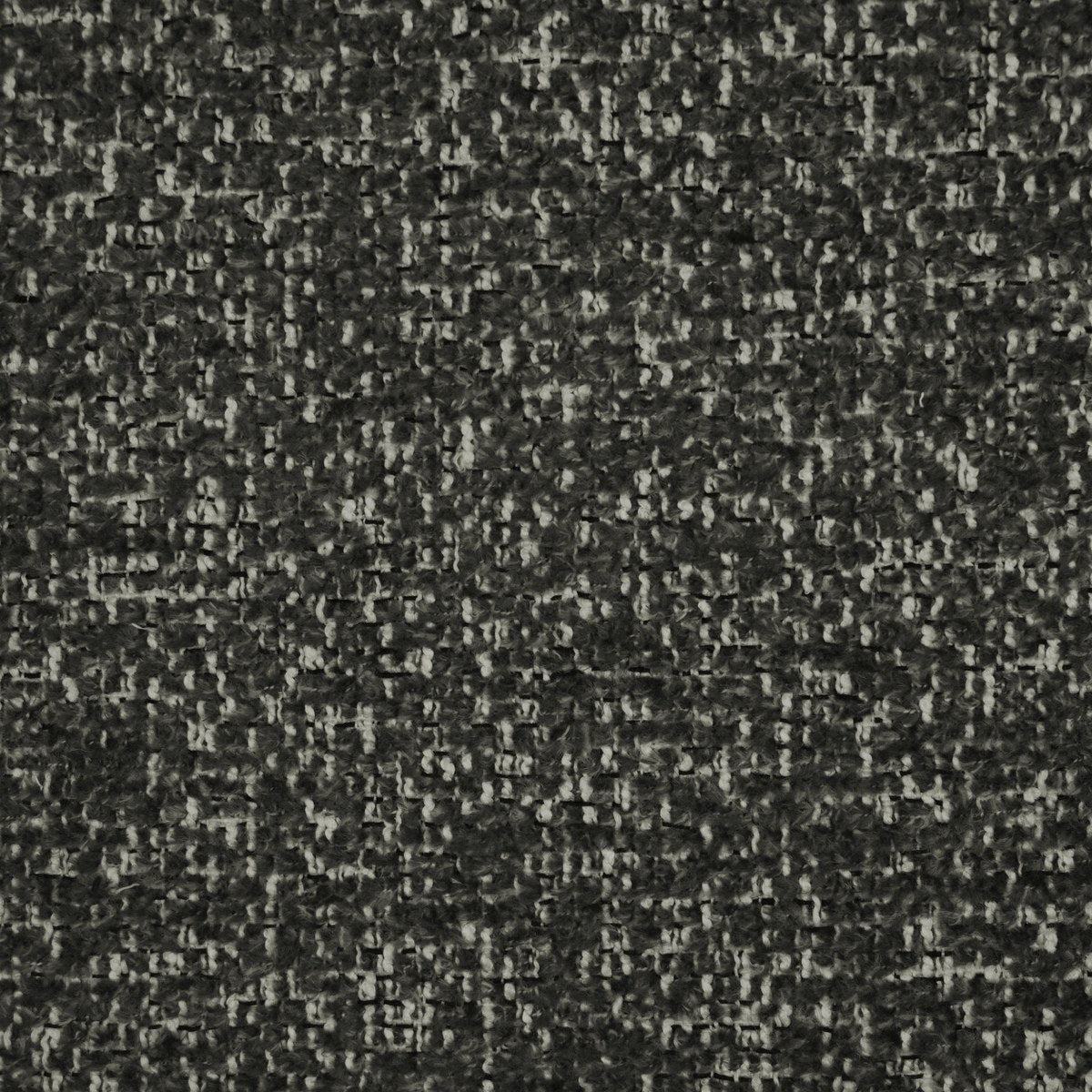 Bloom - Carbon