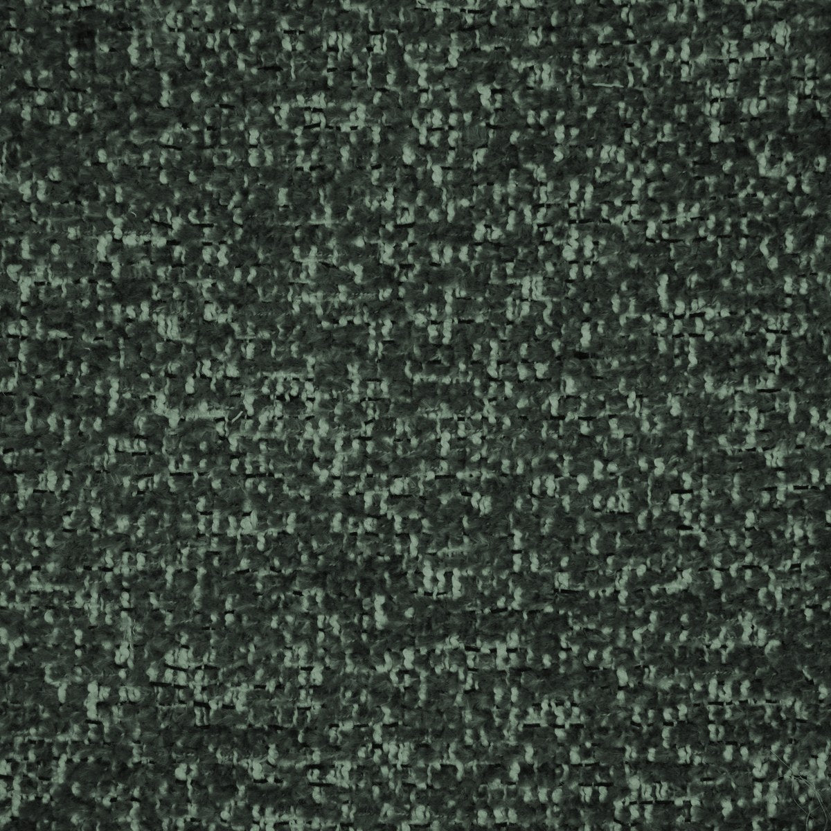 Bloom - Fern