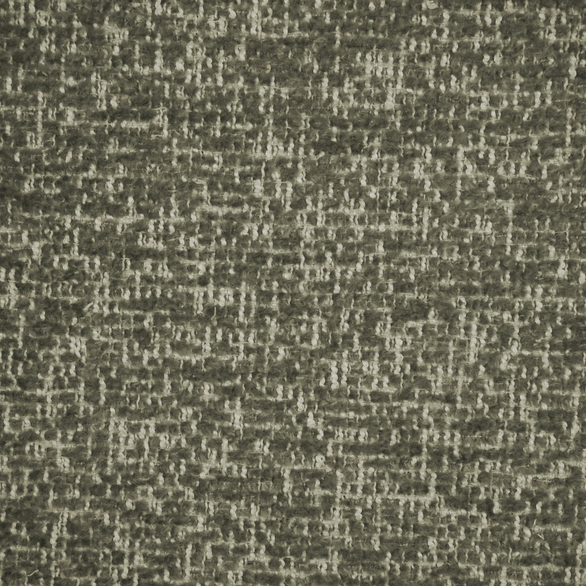 Bloom - Oat