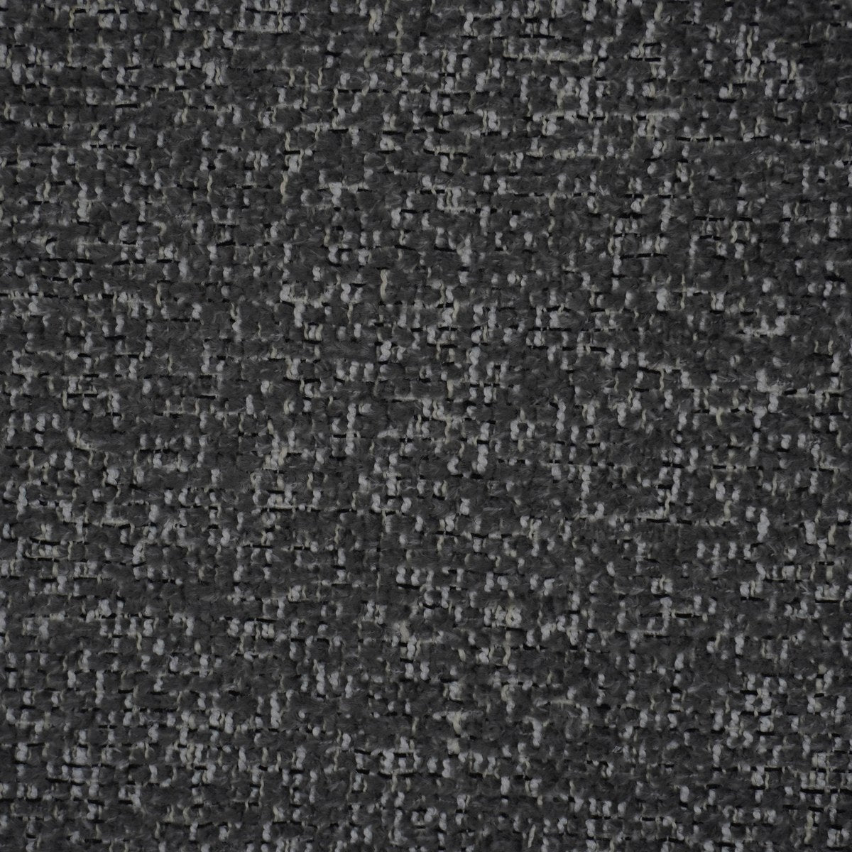 Bloom - Steel
