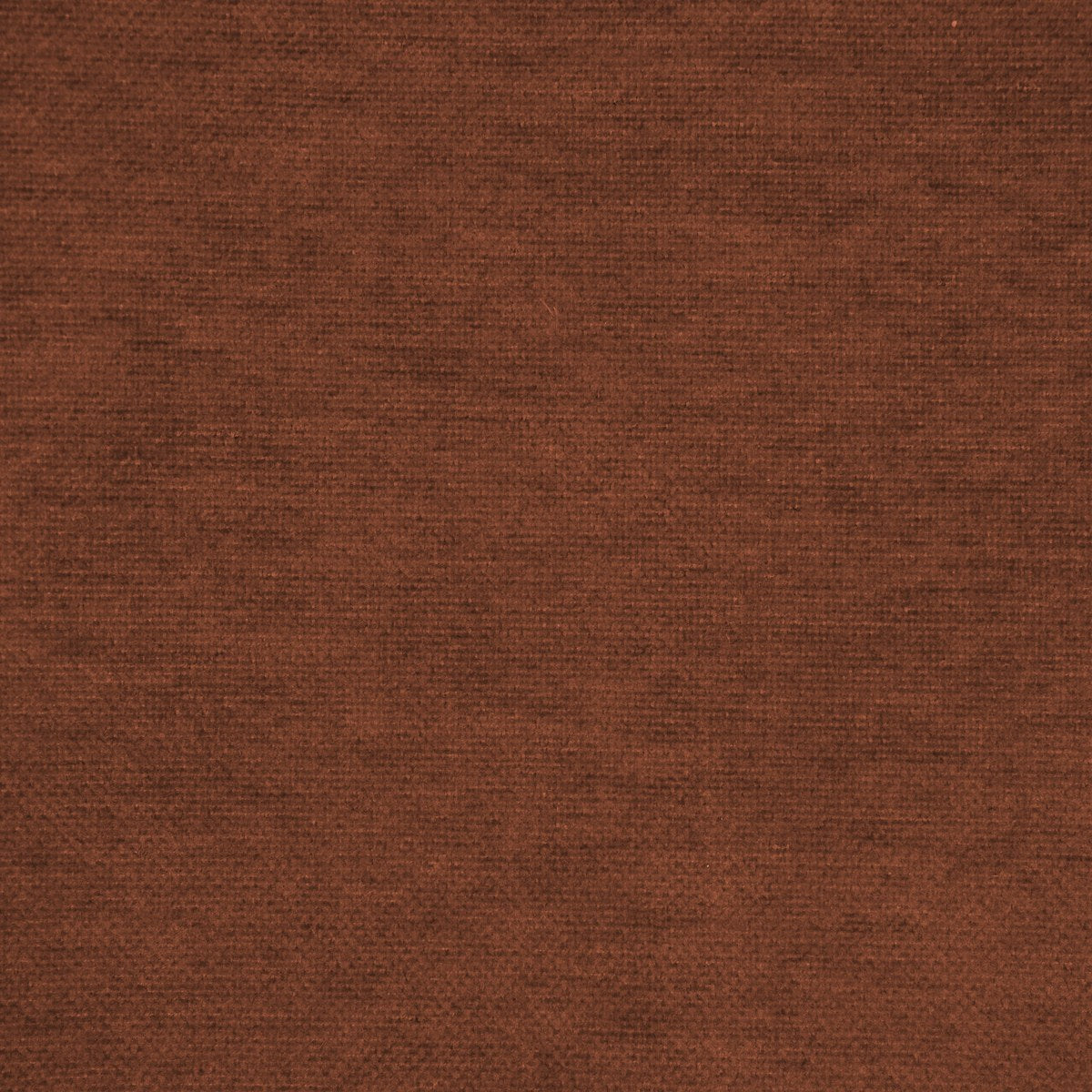Buddy - Rust