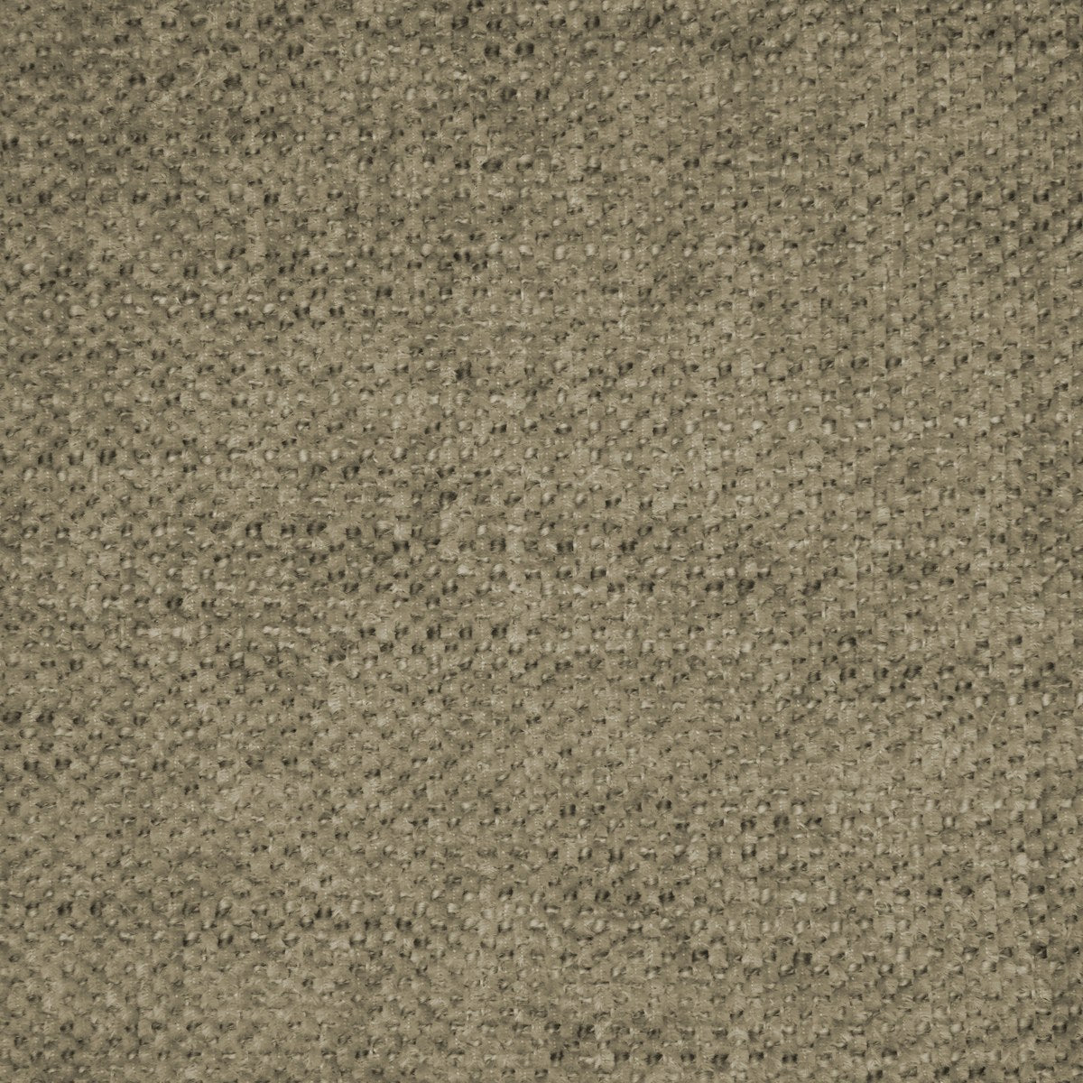 Campbell-UV - Sesame
