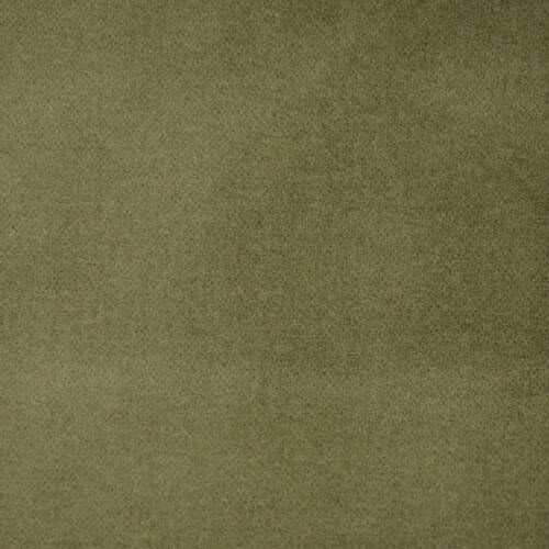 Classic - Olive
