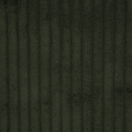 Jive - Evergreen