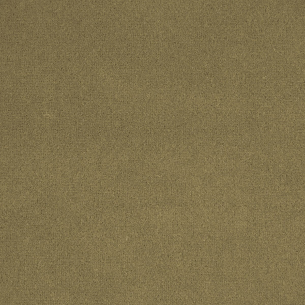 Lusso - Desert