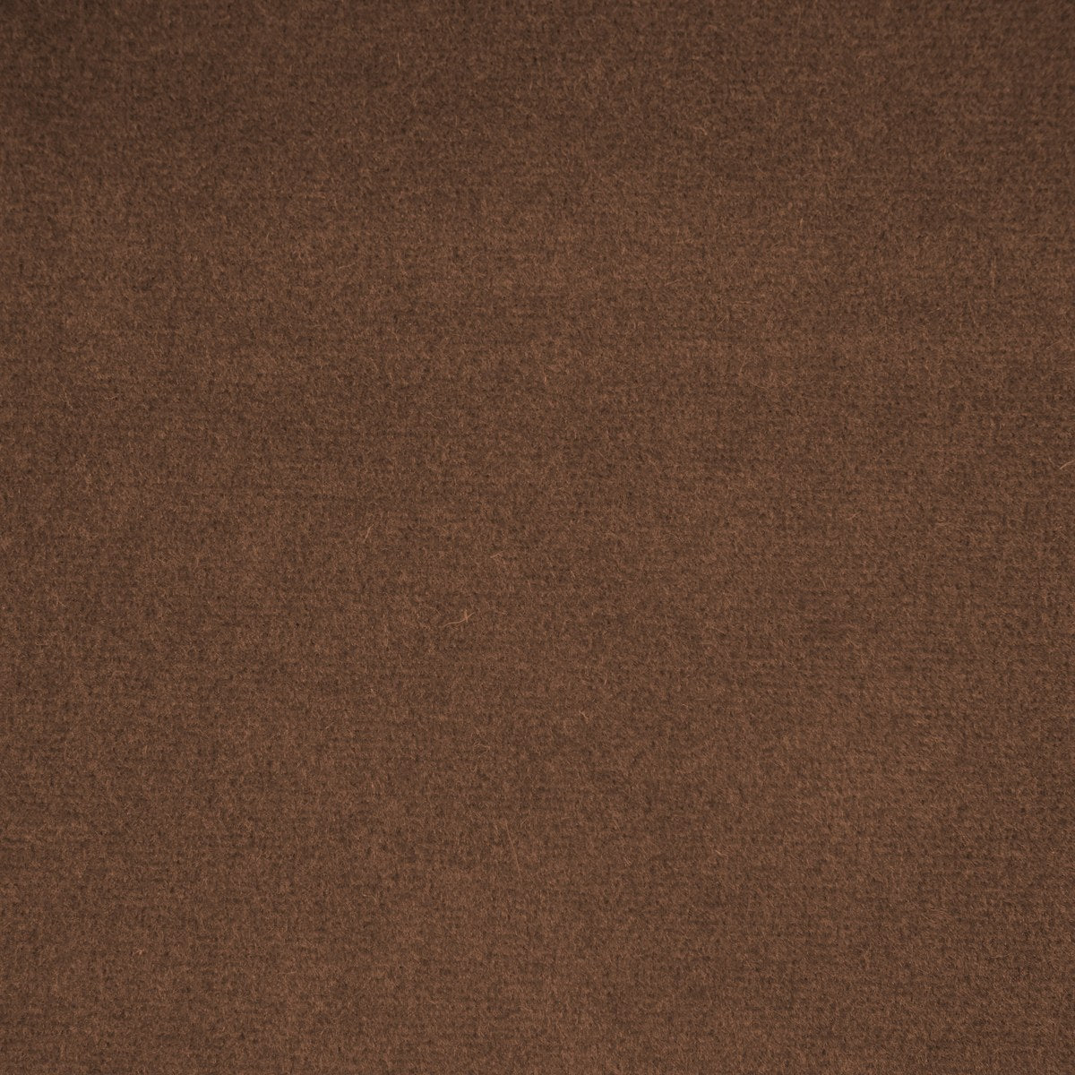 Lusso - Spice