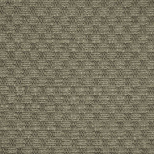 Rafi - Birch