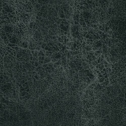 Rex - Carbon