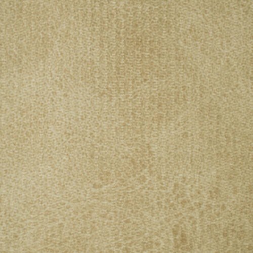 Rex - Sand