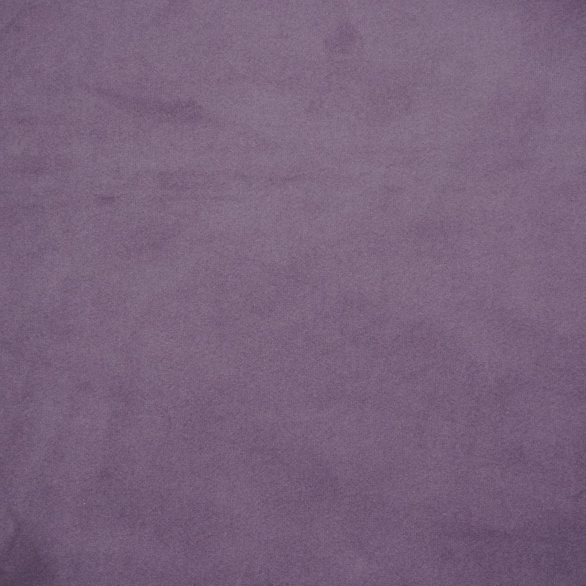 Royale - Lavender