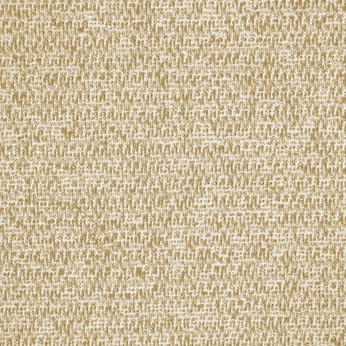 Sun Cruz - Camel