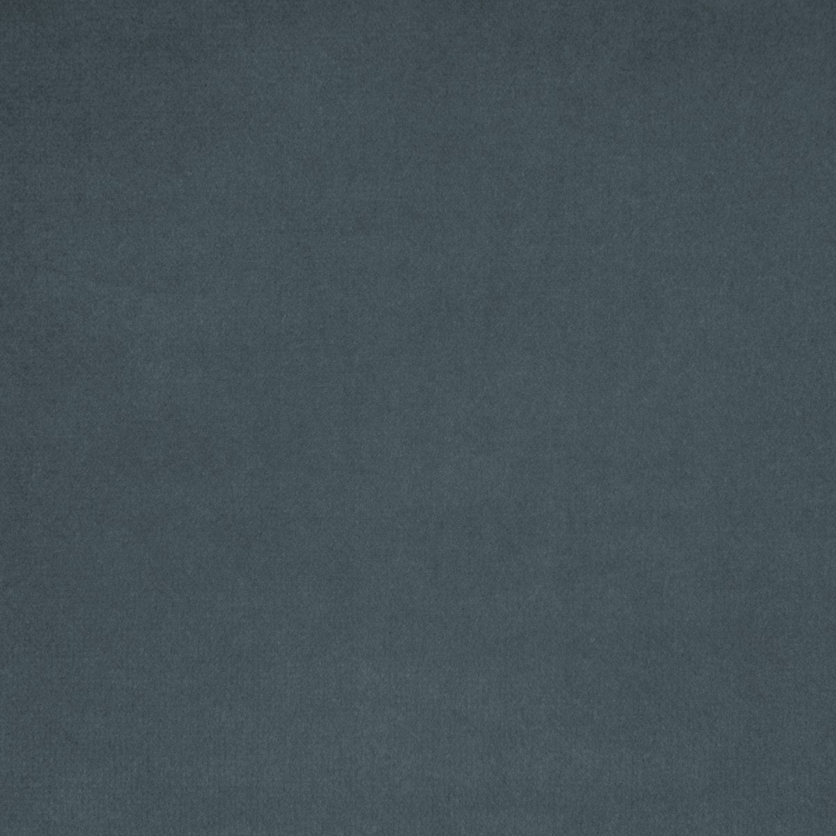 Timeless - French Blue
