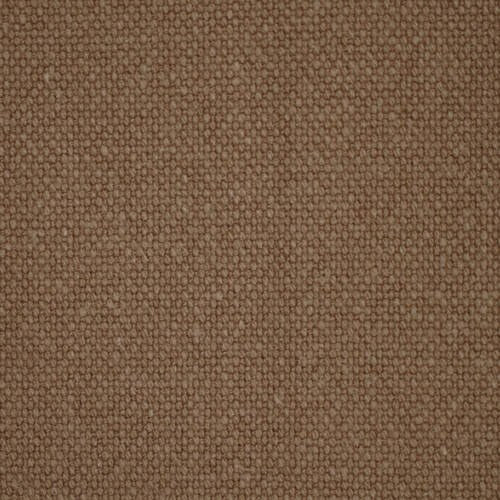 Trail - Camel