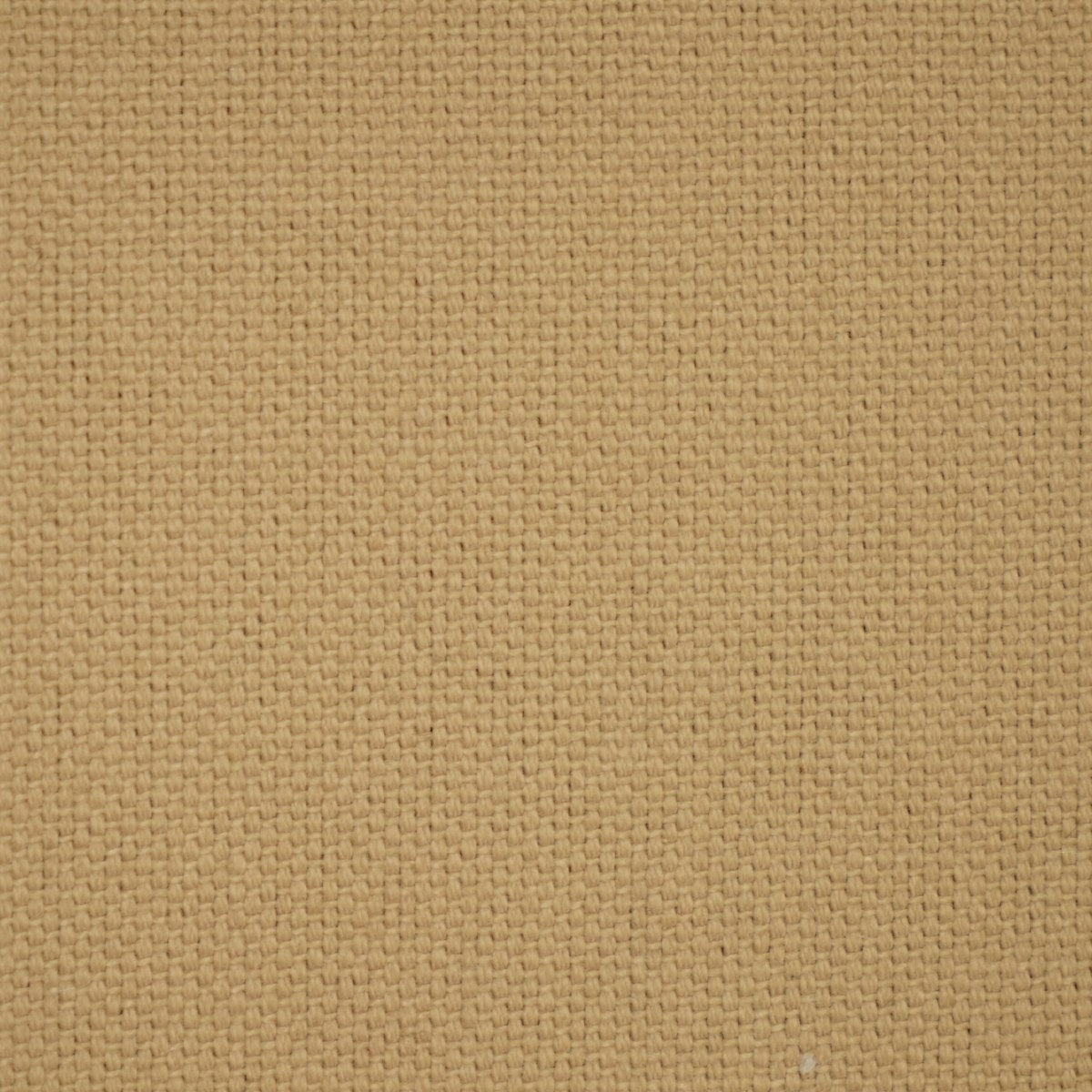 Washed California - Biscuit