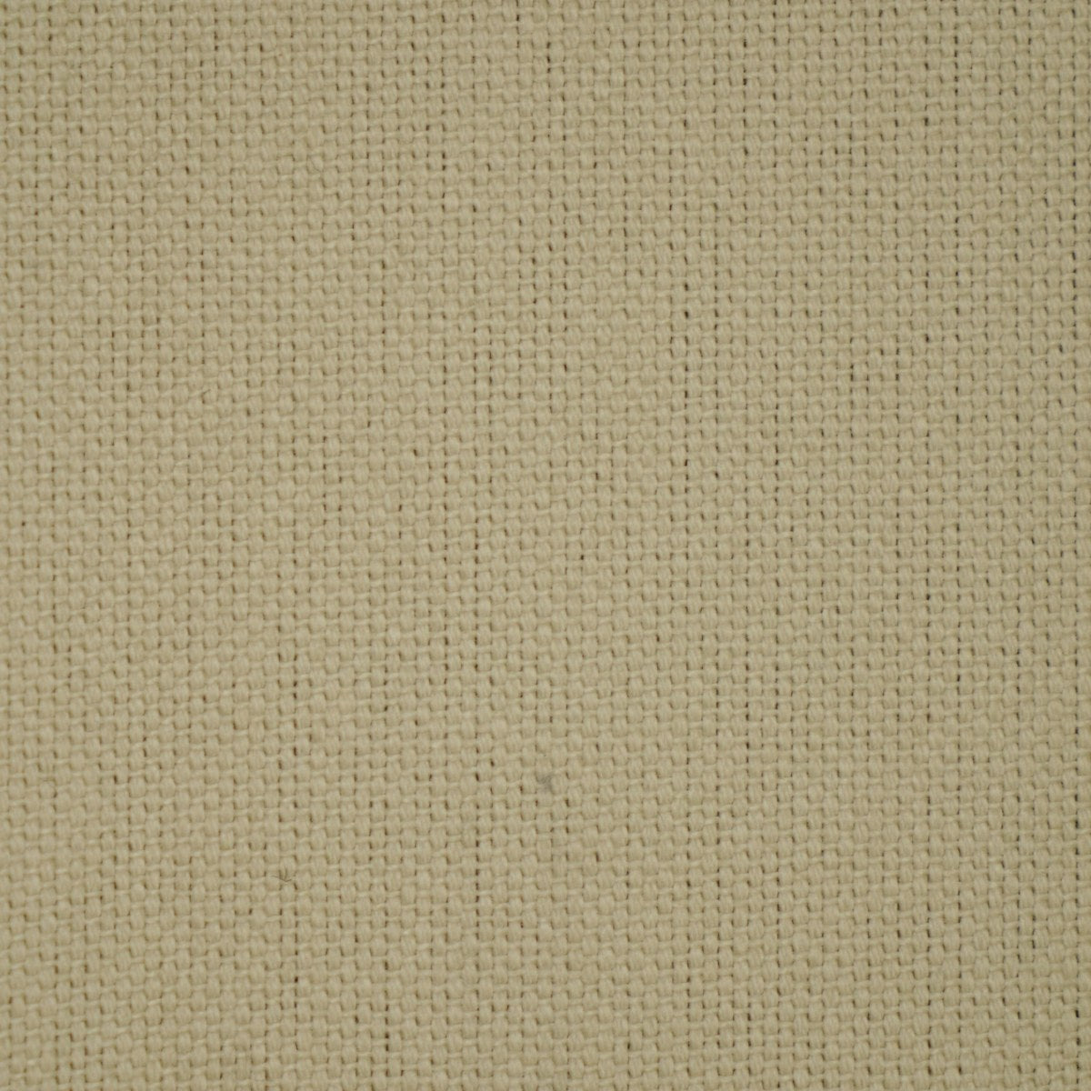 Washed California - Linen