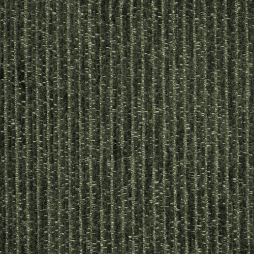 Ace - Forest
