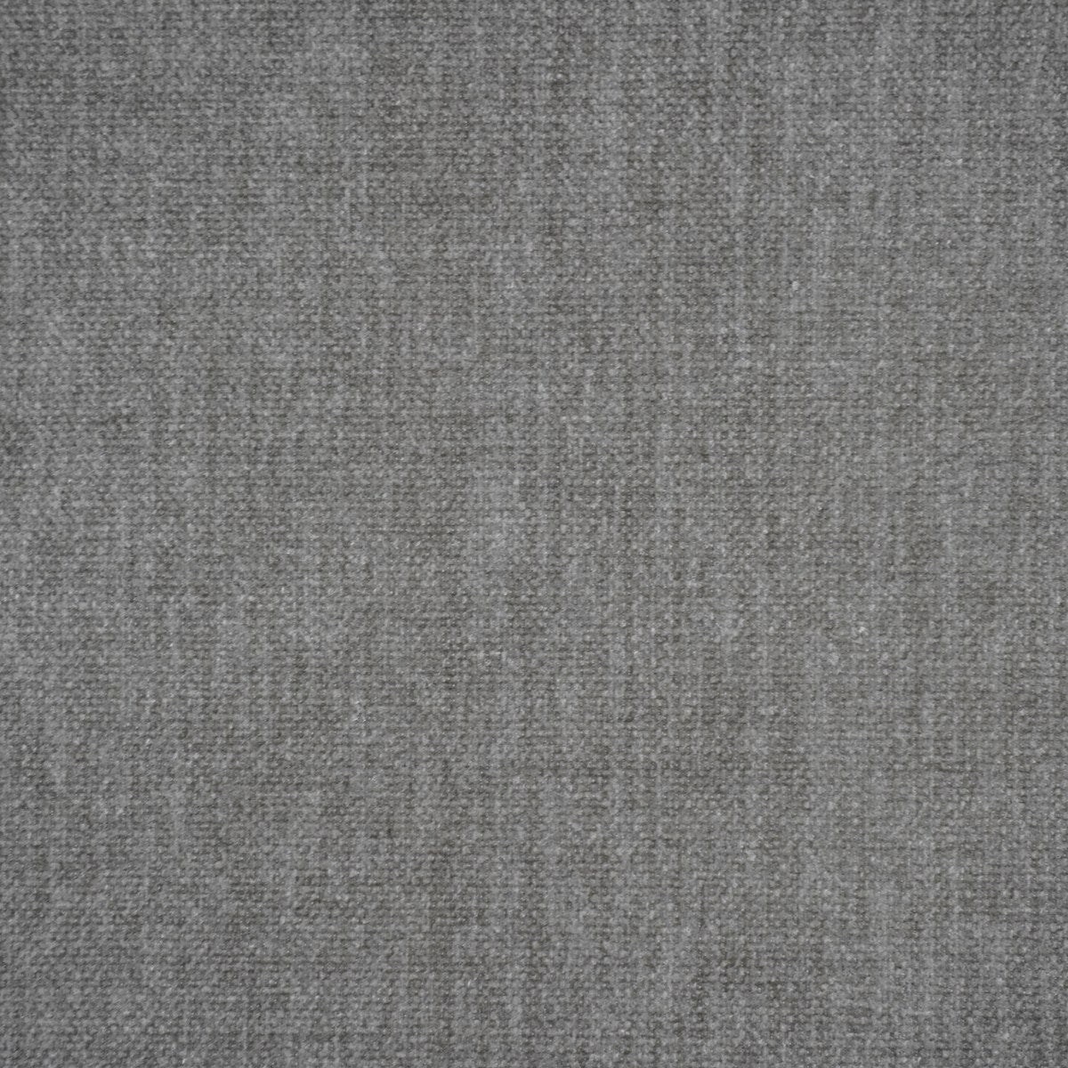 Adelina-UV - Birch