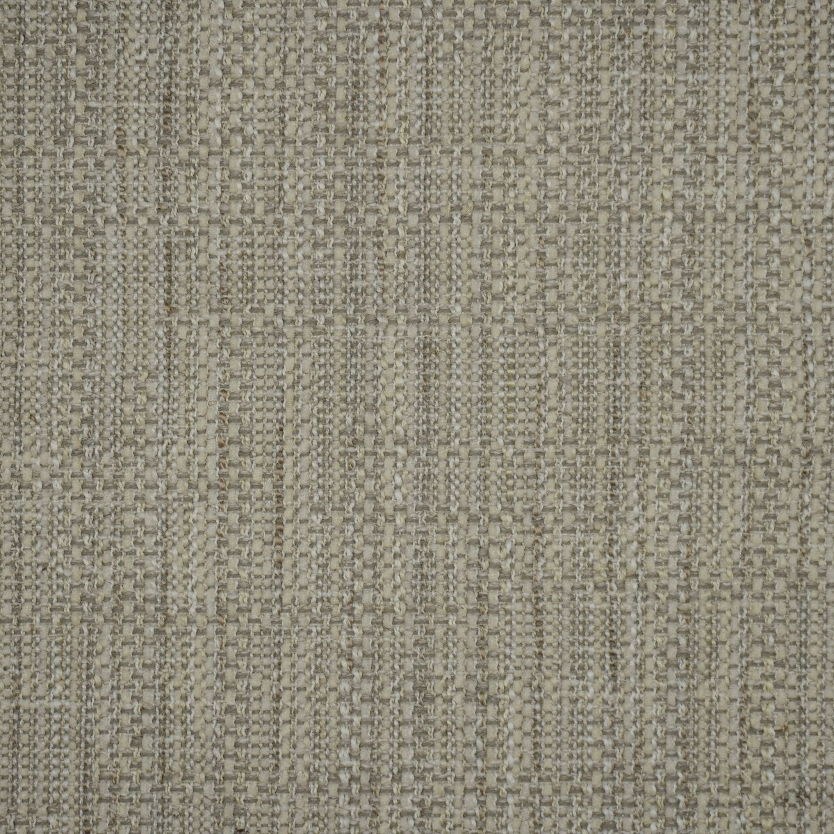 Anise - Dove