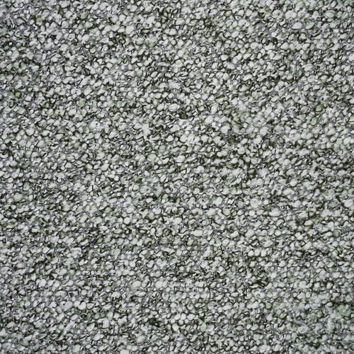 Argo - Moss