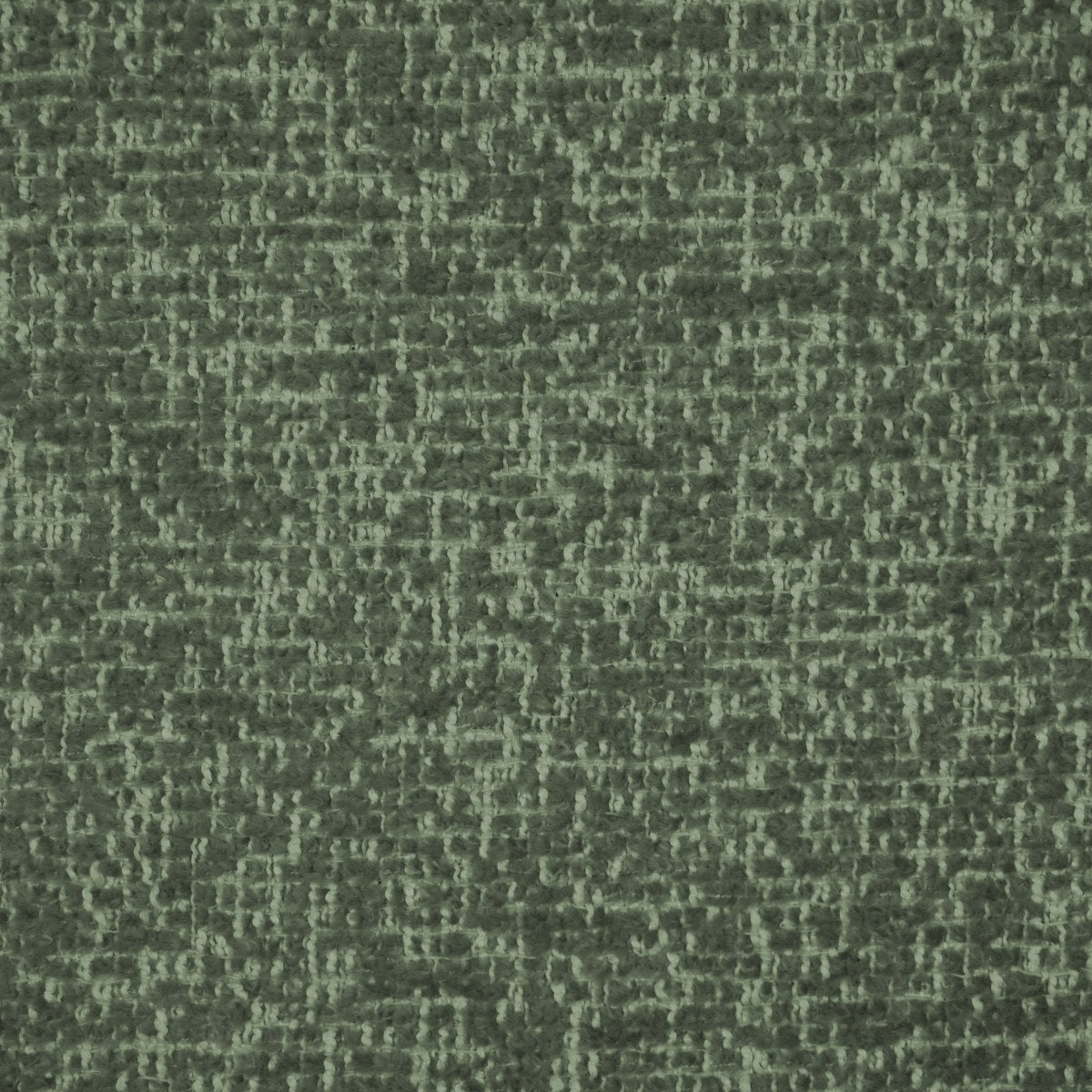 Bloom - Moss