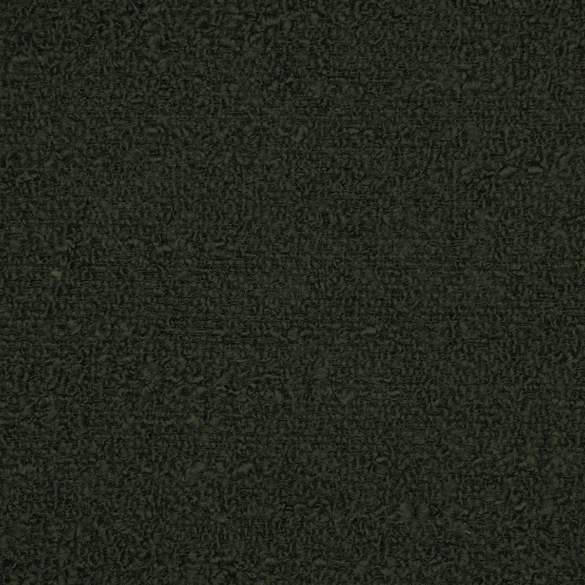 Briar - Fern