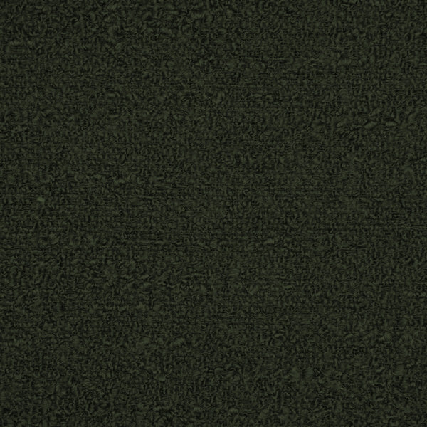 Briar - Fern