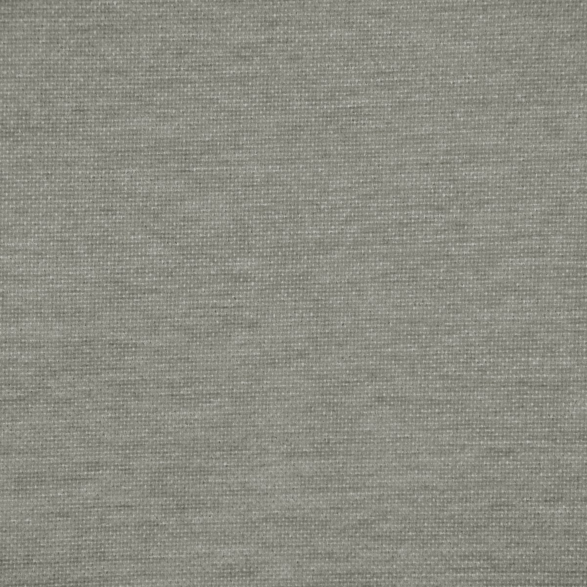 Buddy - Taupe