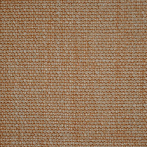 Calvin - Apricot