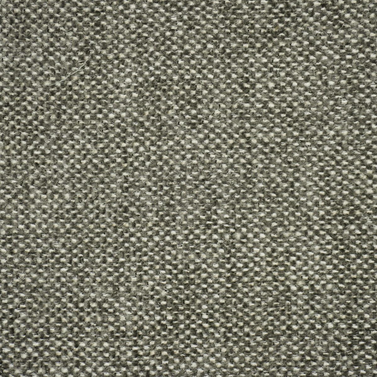 Campbell-UV - Carbon