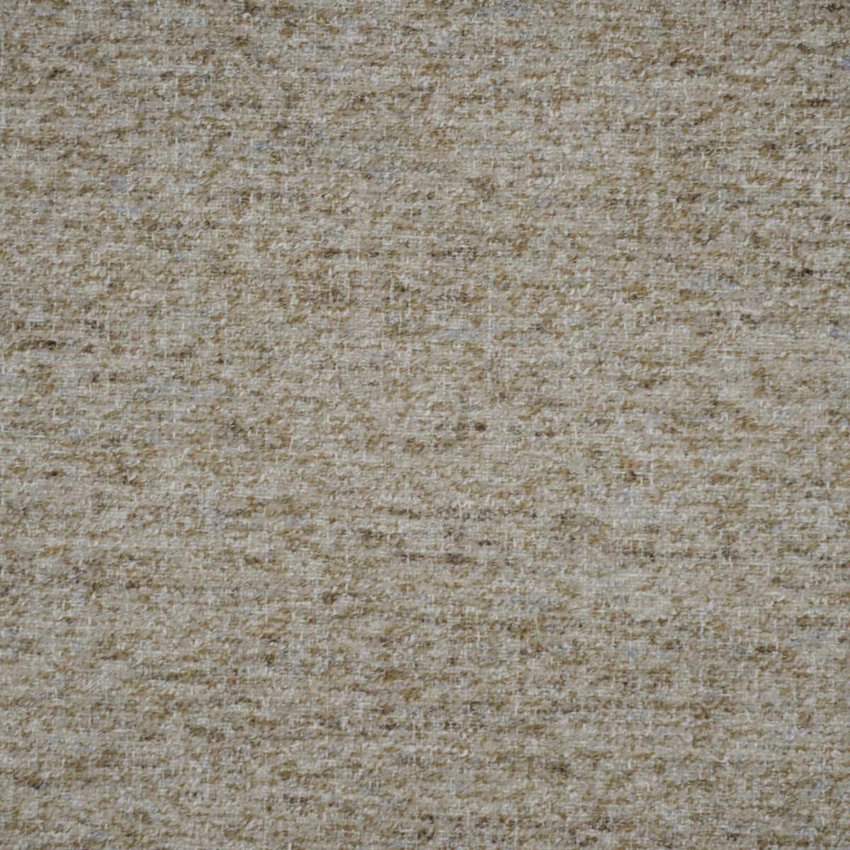 Chroma - Oat