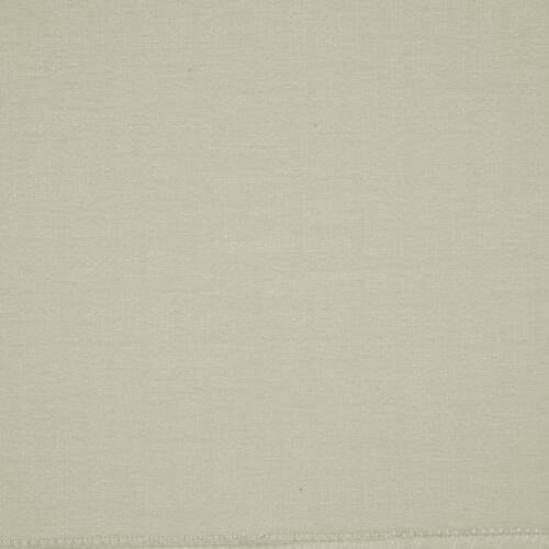 Colette - Oyster