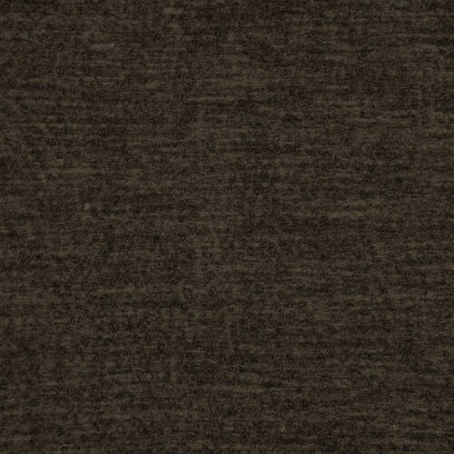 Daphne - Cub