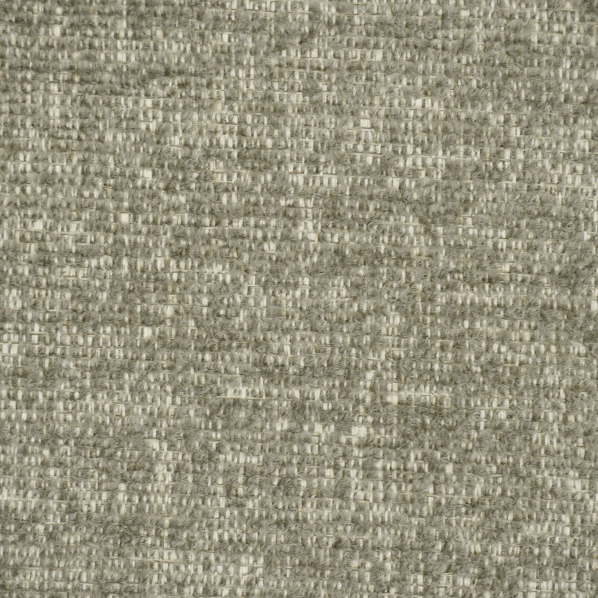 Dora - Birch