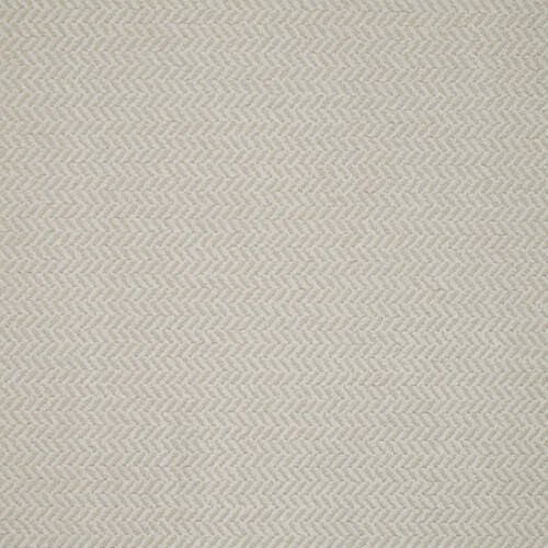 Echo - Arctic