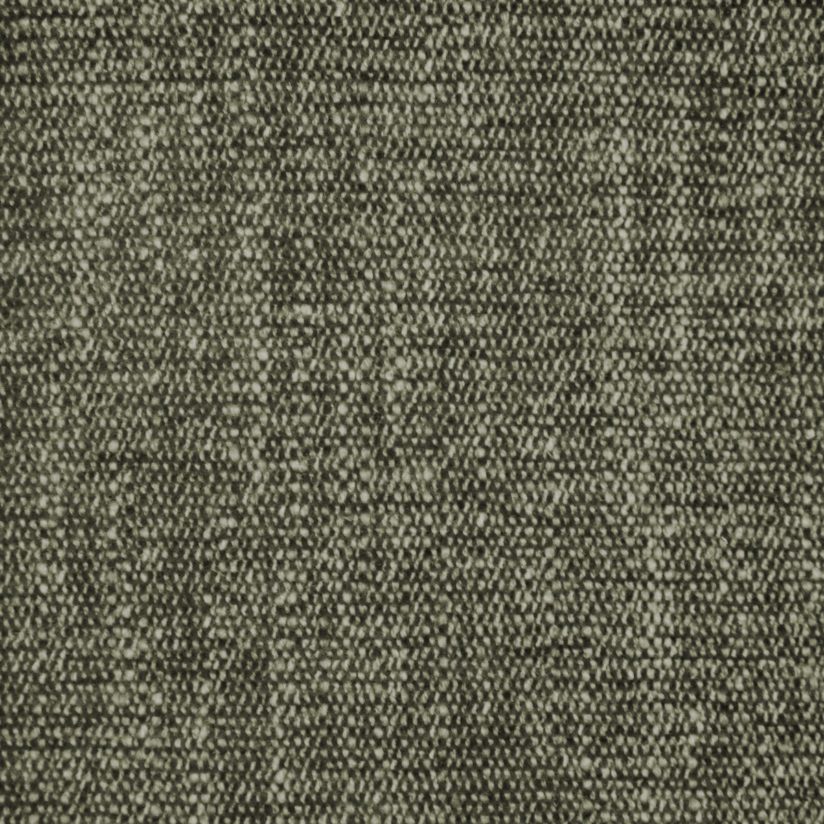 Fletcher - Olive