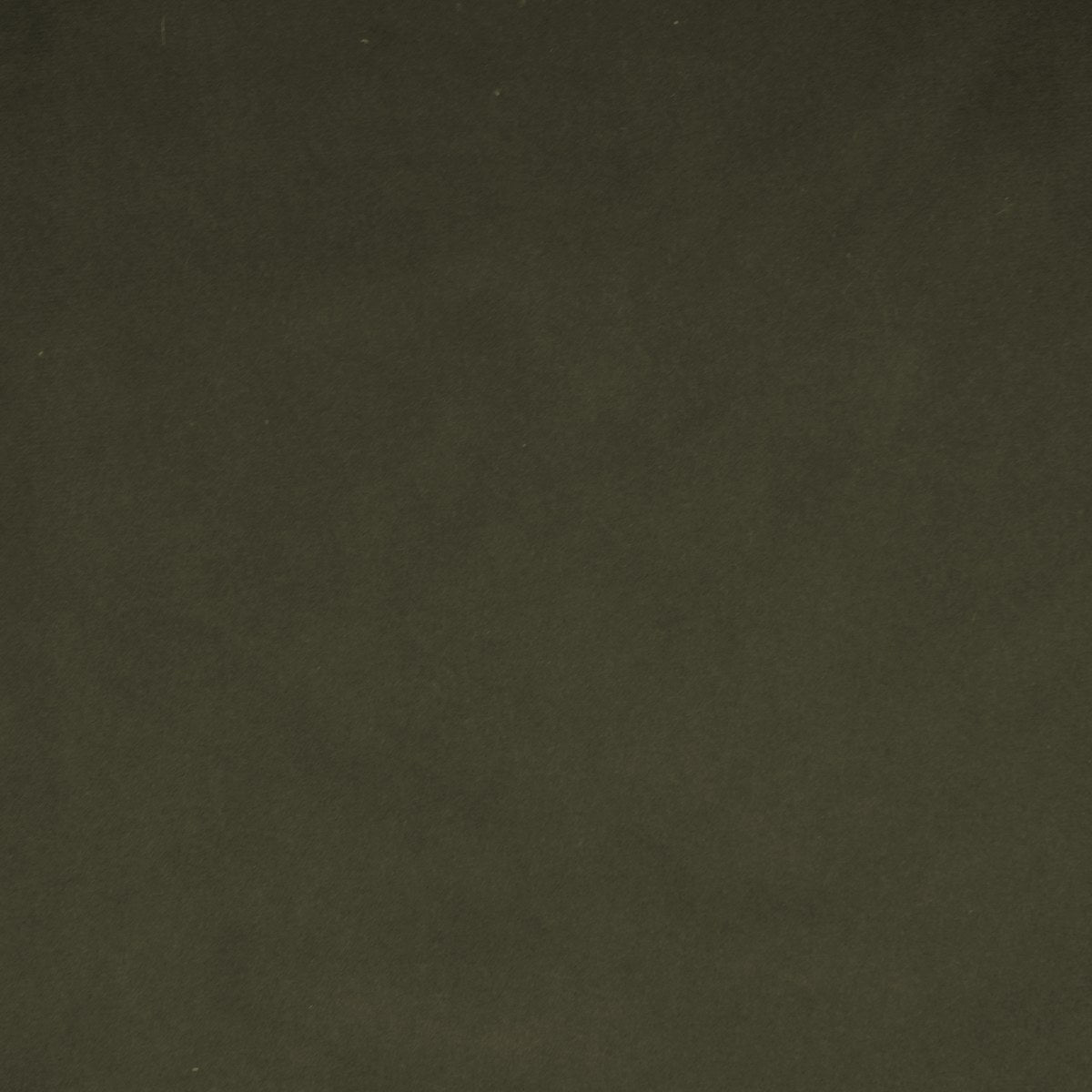 Gem - Olive