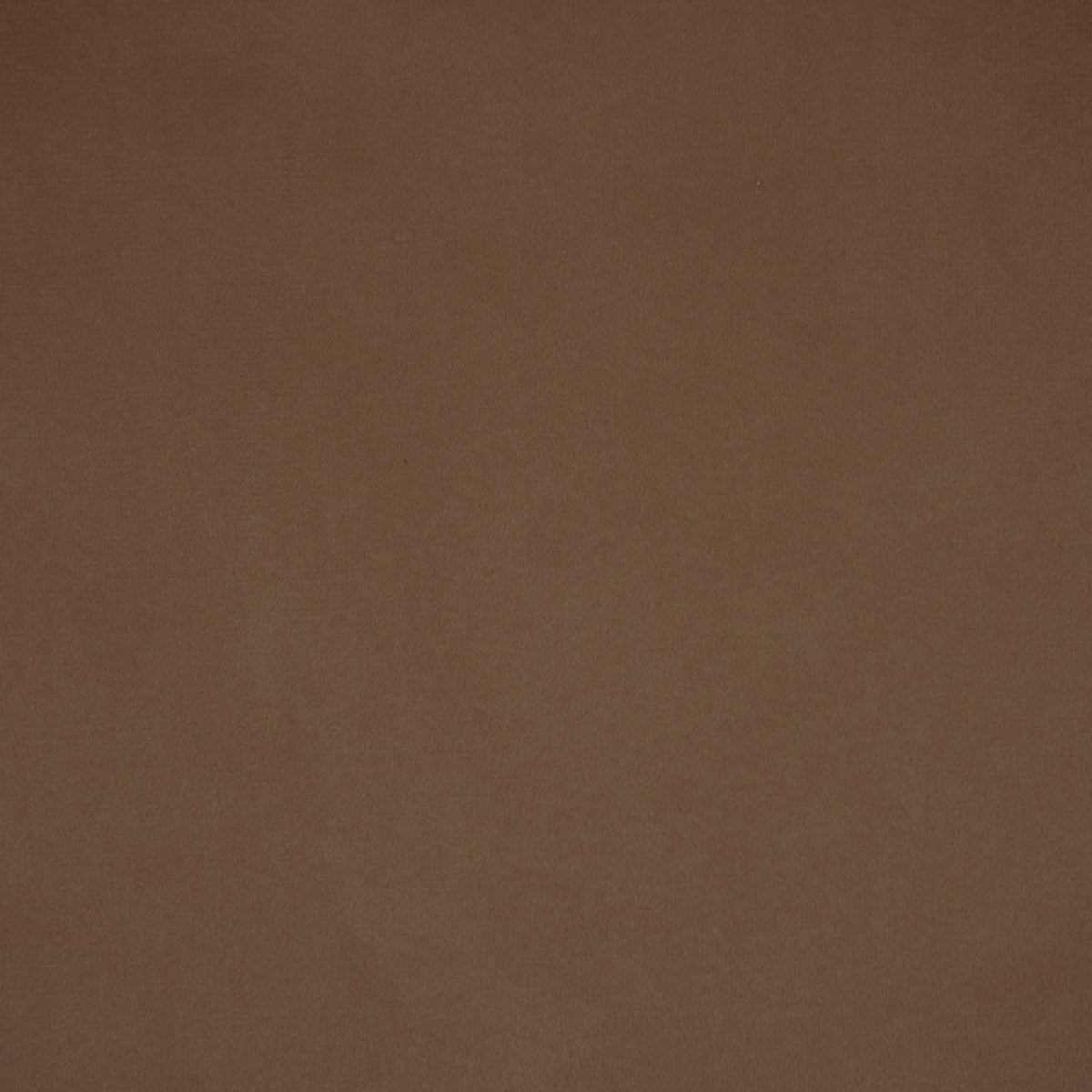 Gem - Rosewood