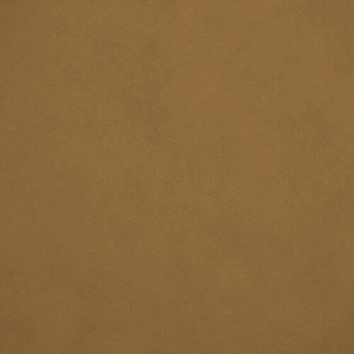 Jackson - Camel