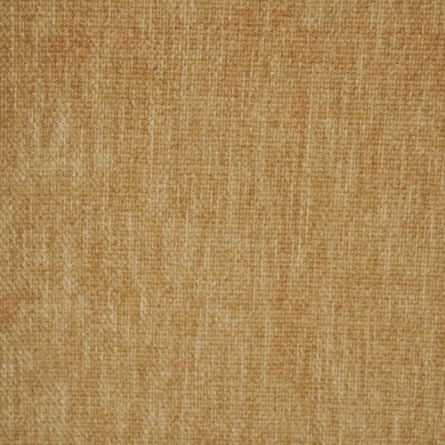 Lovely - Camel